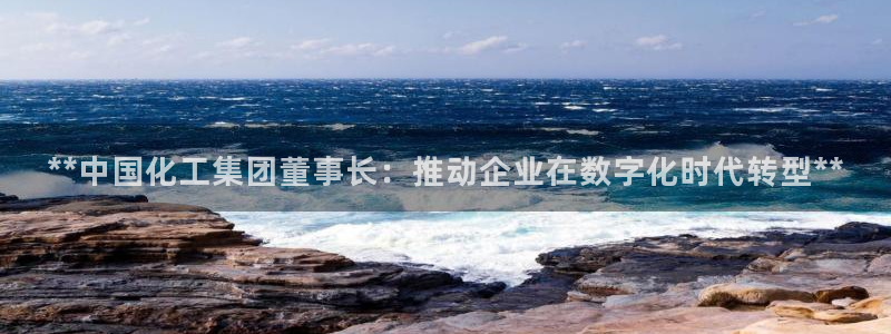球盟会app安装：**中国化工集团董事长：推动企业在数字化时