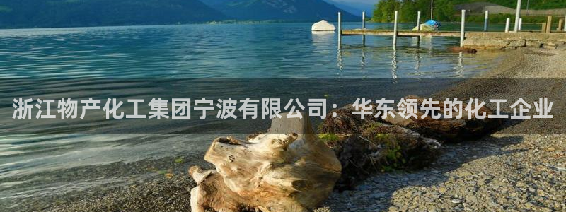 球盟会app安装：浙江物产化工集团宁波有限公司：华东领先的化
