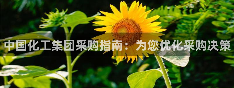 球盟会综合体育平台