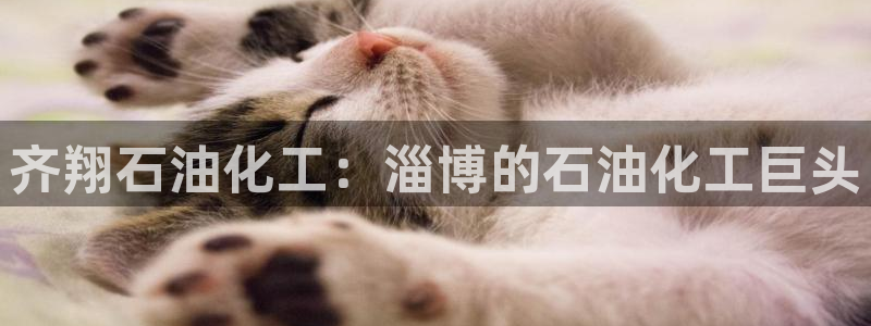 球盟会能退钱吗
