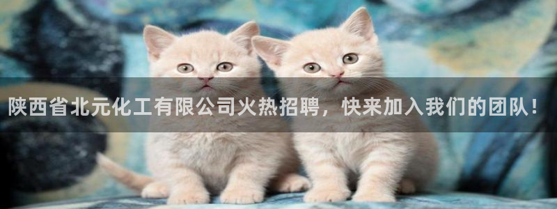 球盟会里面有打牌的嘛是真的吗