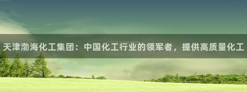 球盟会qm8597：天津渤海化工集团：中国化工行业的领军者，