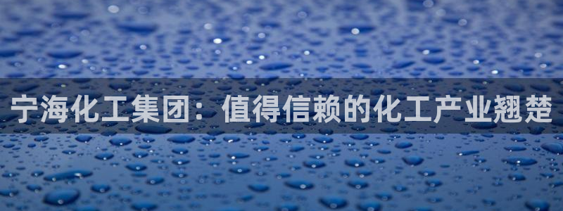 球盟会连接