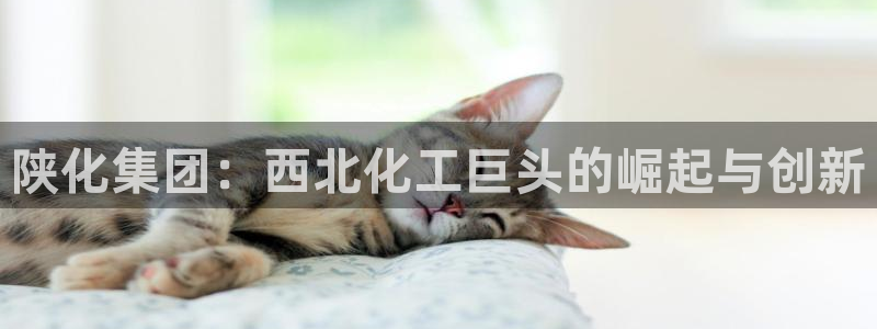 球盟会黑平台