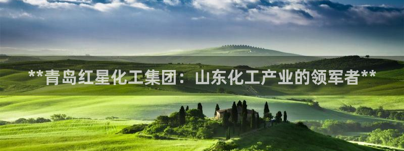 球盟会qm9
