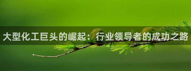 球盟会连接