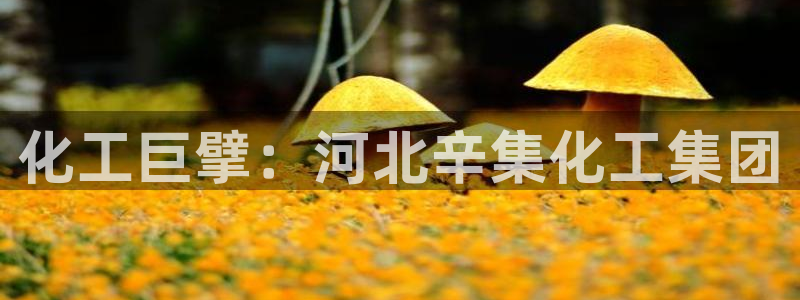 球盟会qm9：化工巨擘：河北辛集化工集团