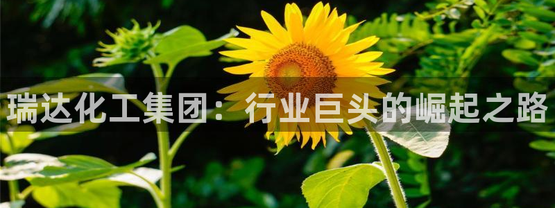 球盟会qm