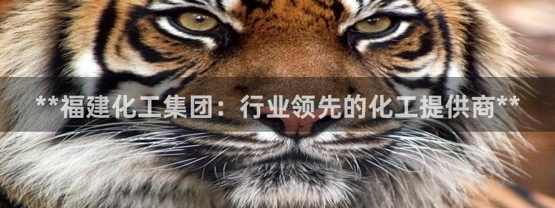 球盟会能退钱吗是真的吗：**福建化工集团：行业领先的化工提供