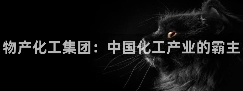球盟会app最新地址在哪找