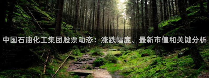 球盟会app最新地址下载