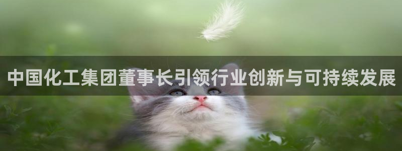 球盟会app最新地址在哪找：中国化工集团董事长引领行业创新与