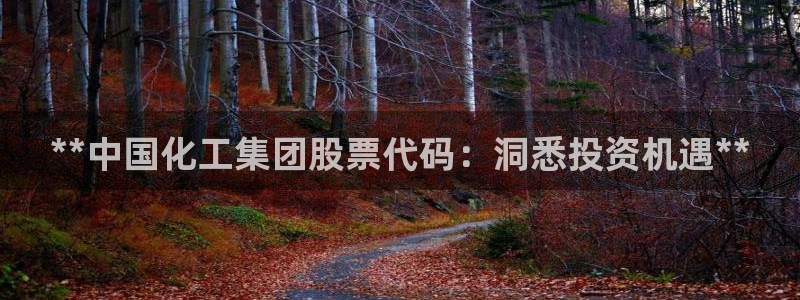 球盟会进不去：**中国化工集团股票代码：洞悉投资机遇**