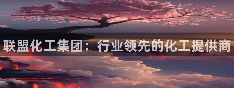 球盟会官方网站入口：联盟化工集团：行业领先的化工提供商