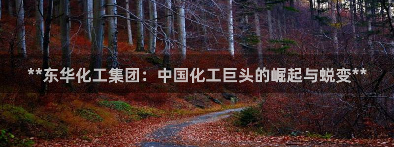 球盟会在线登入