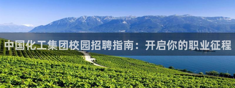 球盟会论坛