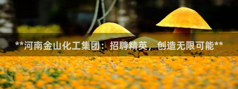 球盟会app安装：**河南金山化工集团：招聘精英，创造无限可