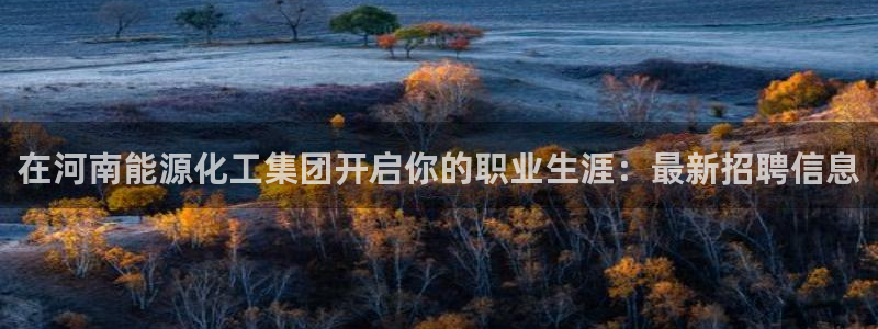 球盟会用的客服聊天是哪个软件：在河南能源化工集团开启你的职业