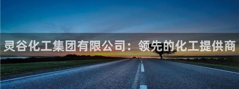 球盟会官方下载：灵谷化工集团有限公司：领先的化工提供商