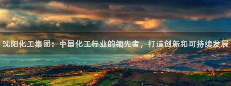 球盟会有没有黑单的活动：沈阳化工集团：中国化工行业的领先者，