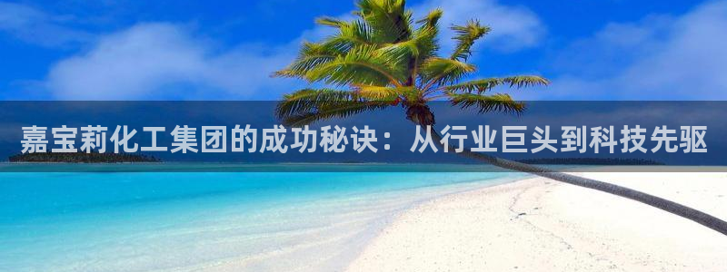 球盟会黑台