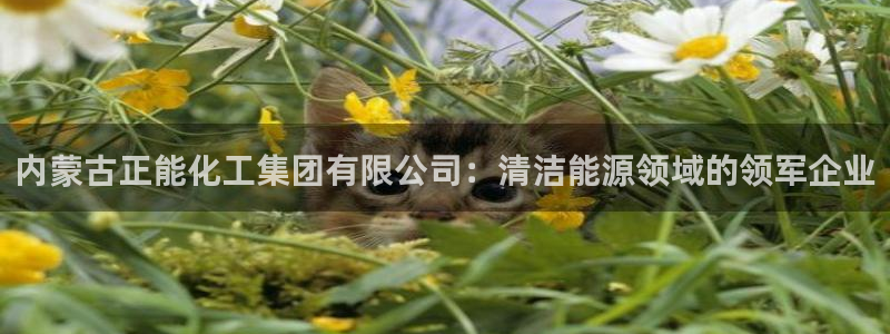 球盟会黑网：内蒙古正能化工集团有限公司：清洁能源领域的领军企