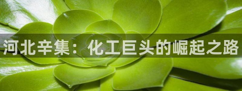 球盟会电子好下吗