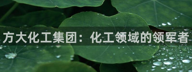 球盟会优惠码