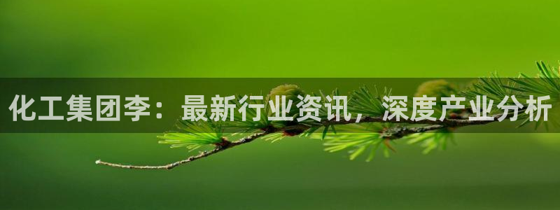 球盟会网址多少