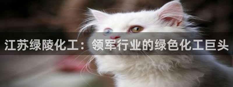 球盟会登录网址