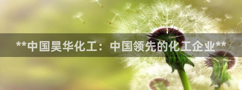 球盟会黑：**中国昊华化工：中国领先的化工企业**