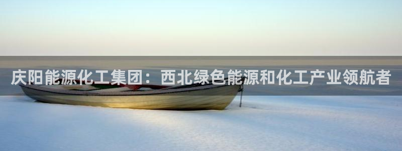 球盟会论坛：庆阳能源化工集团：西北绿色能源和化工产业领航者
