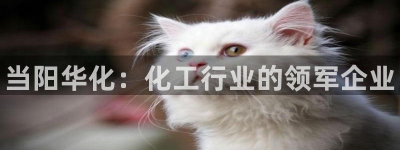球盟会体验金球奖吗