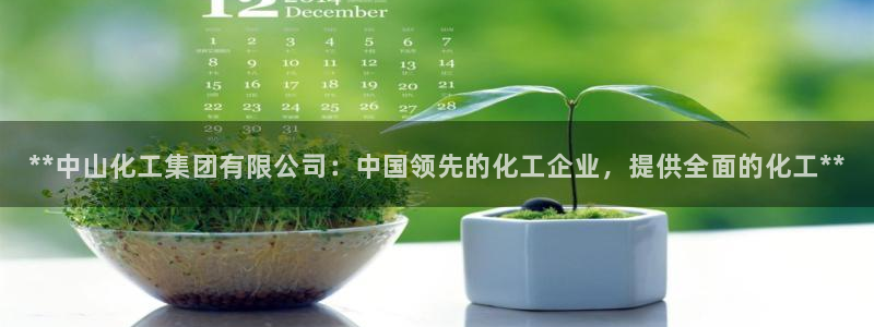 球盟会中国网页登录：**中山化工集团有限公司：中国领先的化工