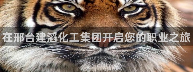 球盟会进不去球员吗
