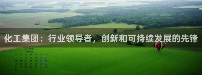 球盟会和中欧：化工集团：行业领导者，创新和可持续发展的先锋