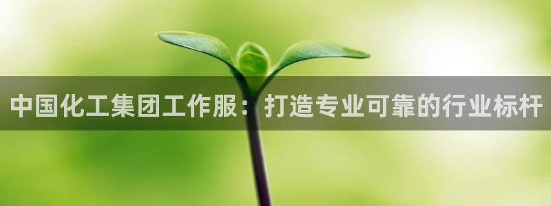 球盟会乐虎