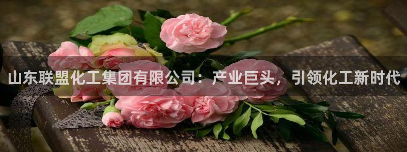 球盟会下款快吗