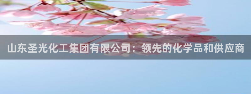 球盟会能退钱吗是真的吗：山东圣光化工集团有限公司：领先的化学