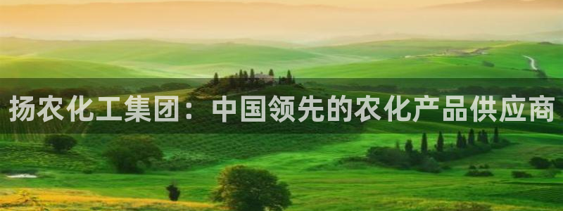 球盟会电子