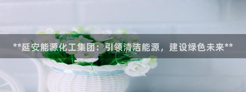 球盟会官方版下载地址：**延安能源化工集团：引领清洁能源，建