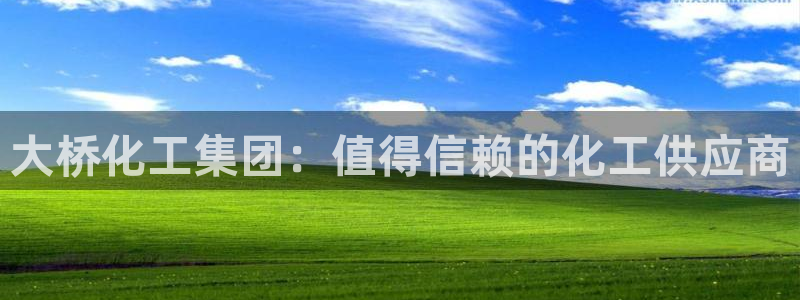球盟会官方：大桥化工集团：值得信赖的化工供应商