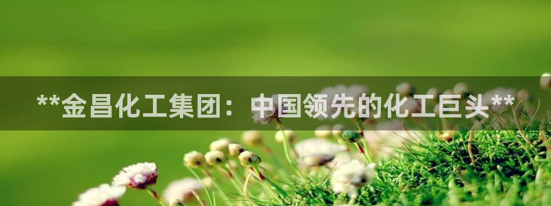 球盟会游戏：**金昌化工集团：中国领先的化工巨头**