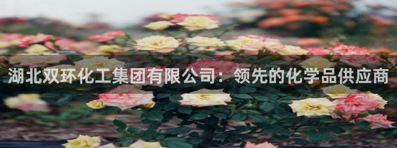 球盟会中国网页登录：湖北双环化工集团有限公司：领先的化学品供