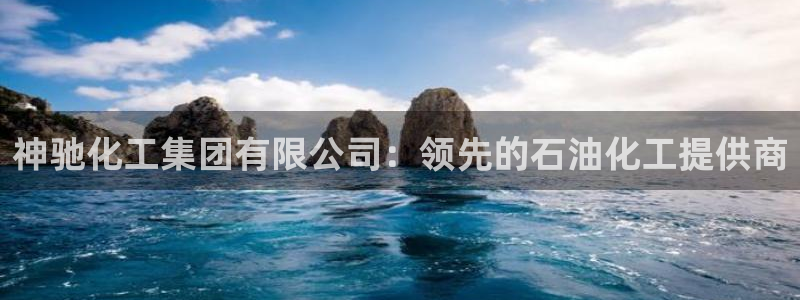 球盟会类似的网站：神驰化工集团有限公司：领先的石油化工提供商