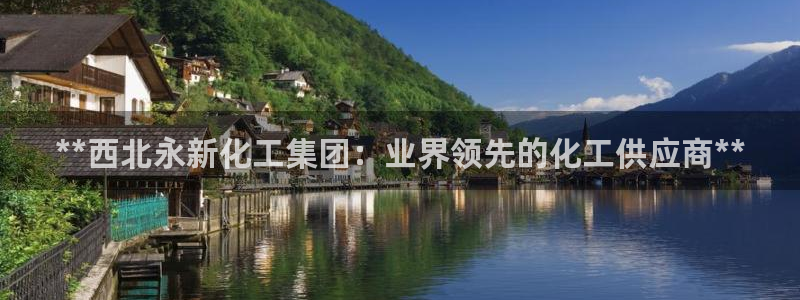 球盟会：**西北永新化工集团：业界领先的化工供应商**