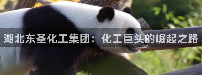 球盟会下款快吗