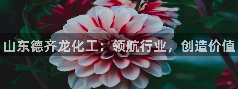 球盟会地址