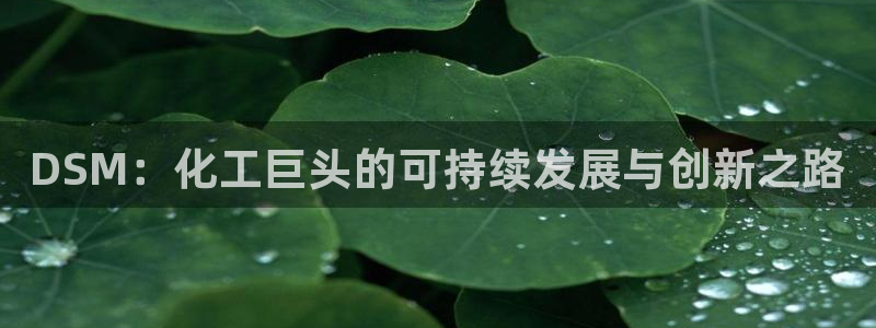 球盟会游戏几点玩合适