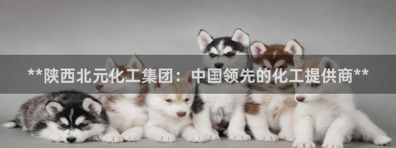 球盟会和中欧合作吗：**陕西北元化工集团：中国领先的化工提供